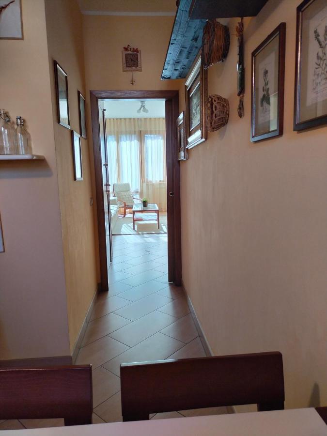 Sunnyside Accademia Apartment Livorno Bagian luar foto