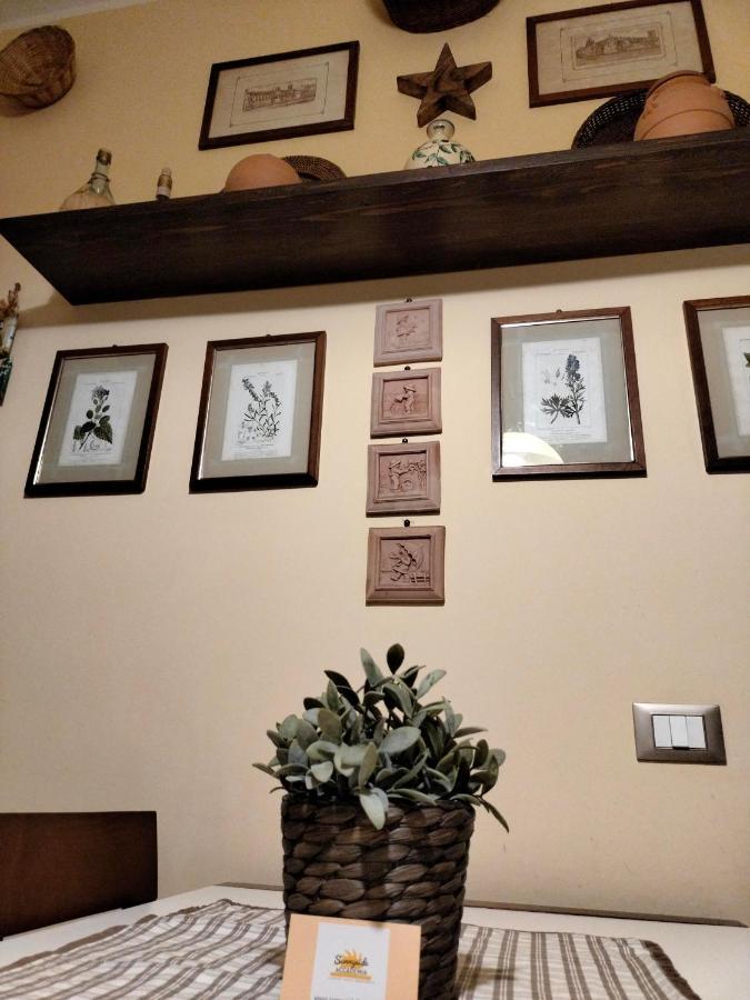 Sunnyside Accademia Apartment Livorno Bagian luar foto